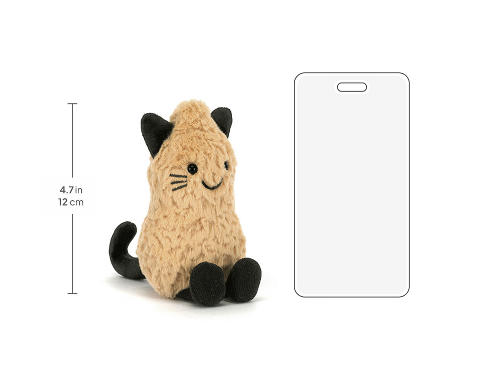 A6PCT_10__05982.1755280725