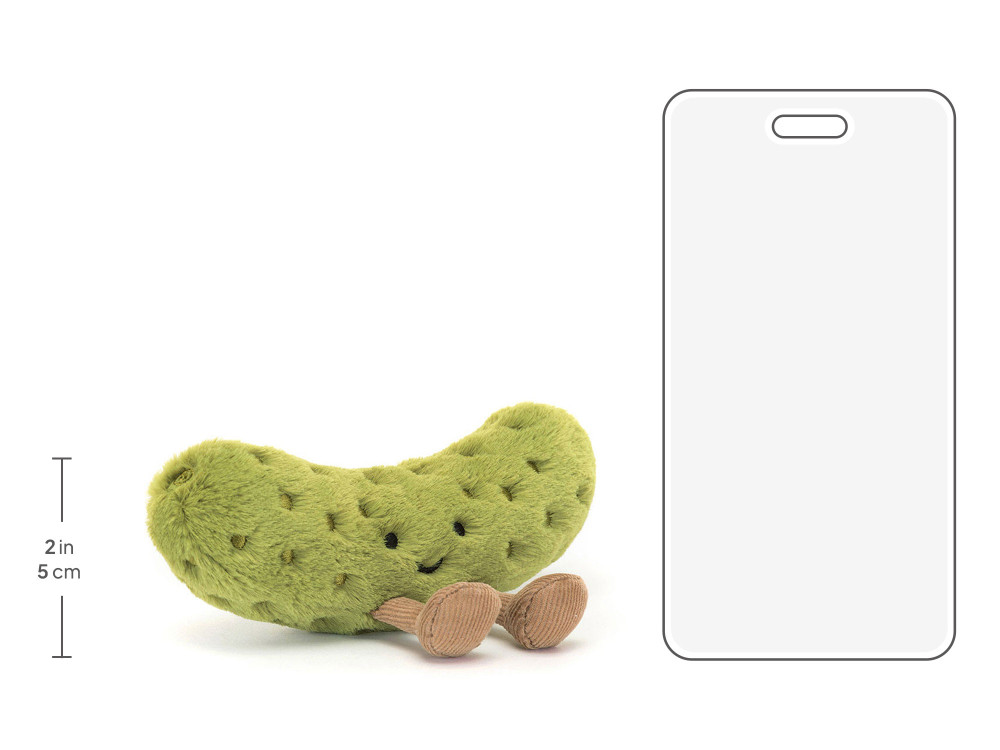 A6PIC_10__02517.1749467742