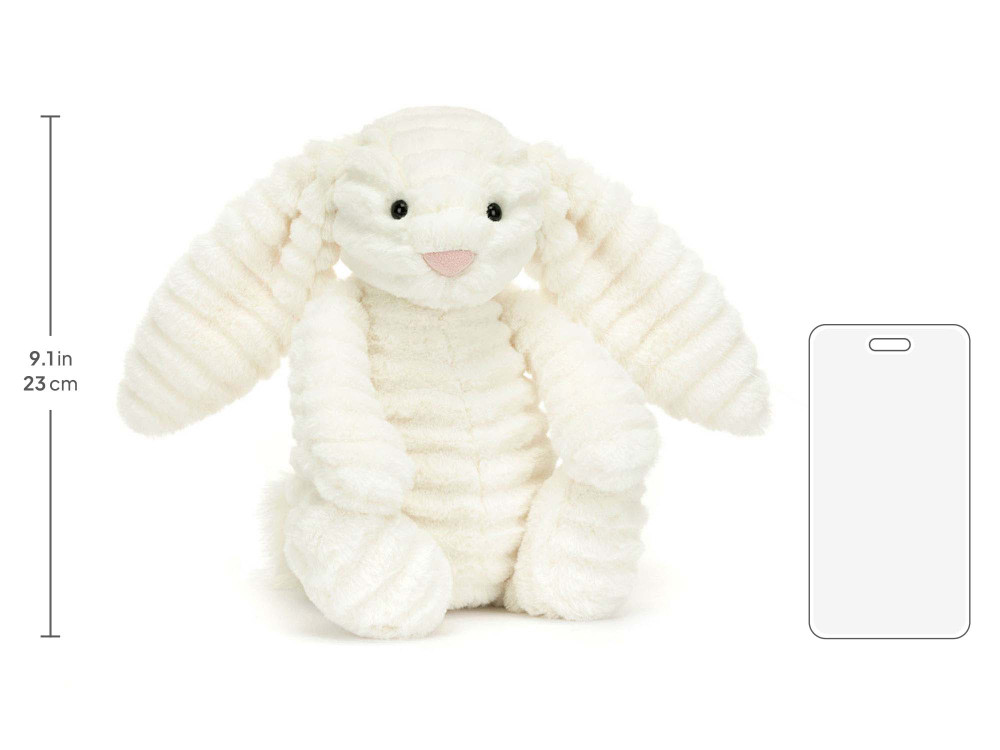 BAS3NIM_10__79257.1750295756