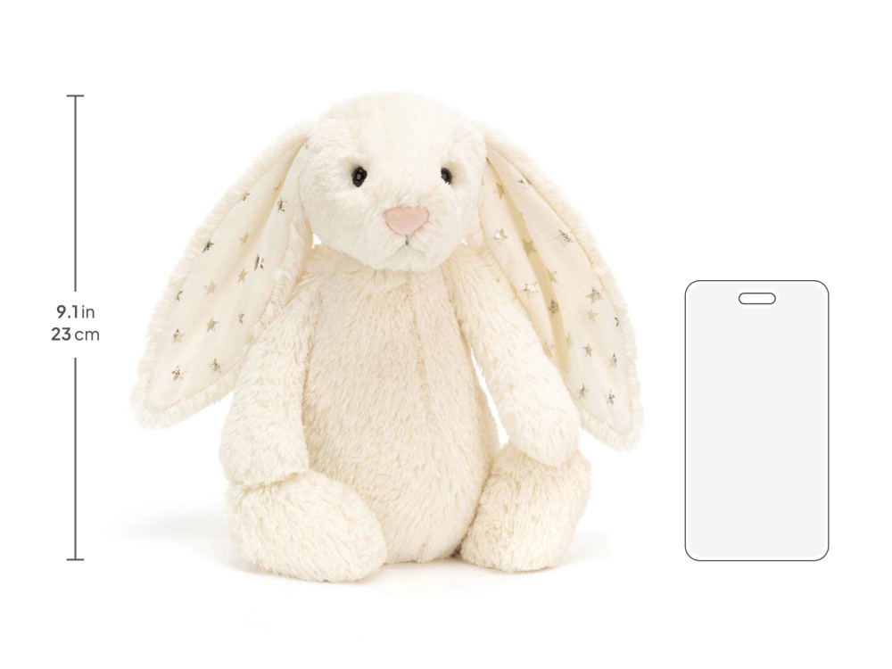 BAS3TW_10__33800.1750295775