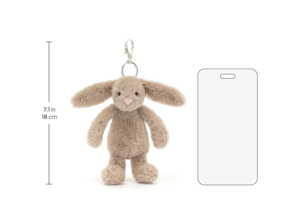 BAS4BEBC_10__14011.1749467922