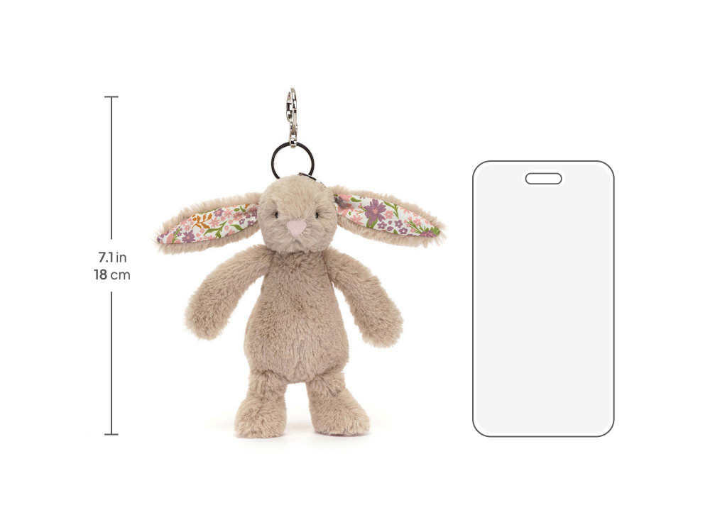 BAS4BMBC_10__25559.1750295541