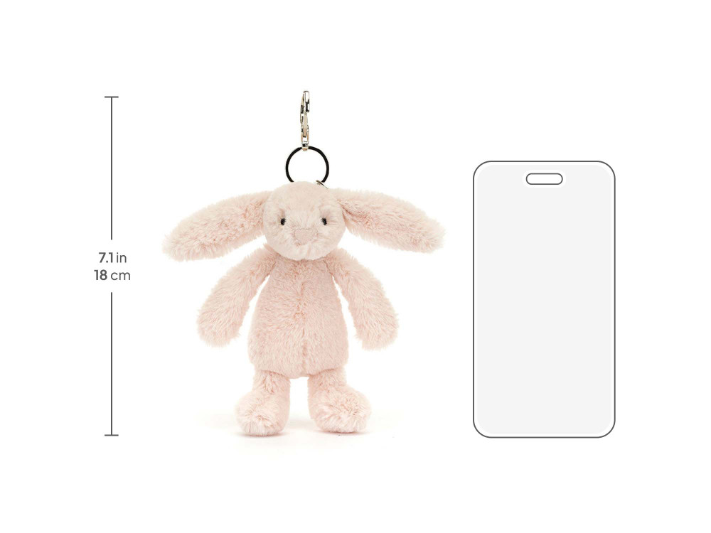 BAS4ELBC_10__32630.1750295534