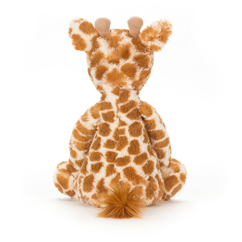 BASHFUL_GIRAFFE_2__95317.1727975269