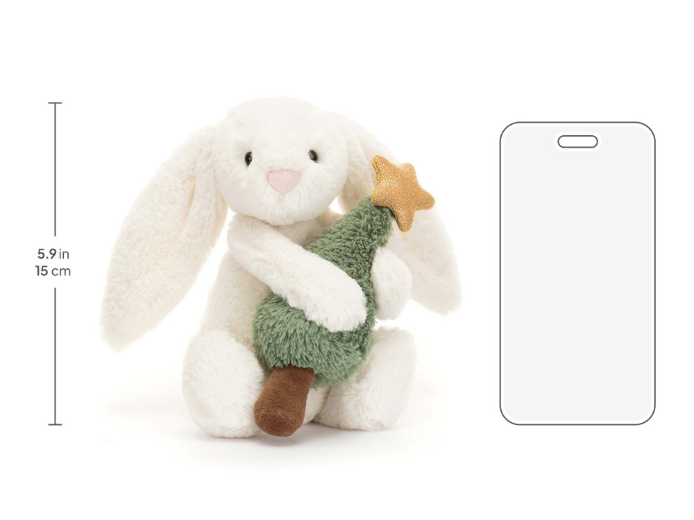 BB6CT_10__42860.1750295576