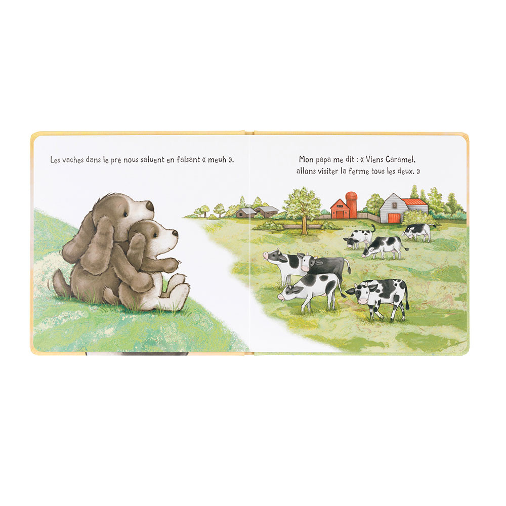 SETBK4DAMF_2__13516.1727978013